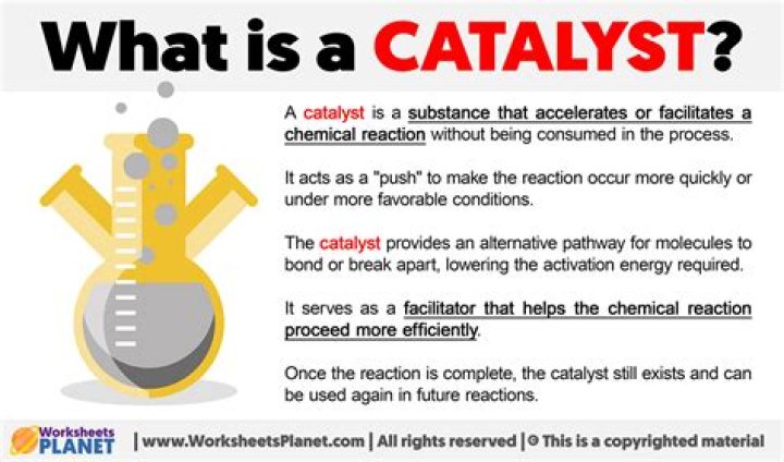 A Catalyst For Tech Inclusivity