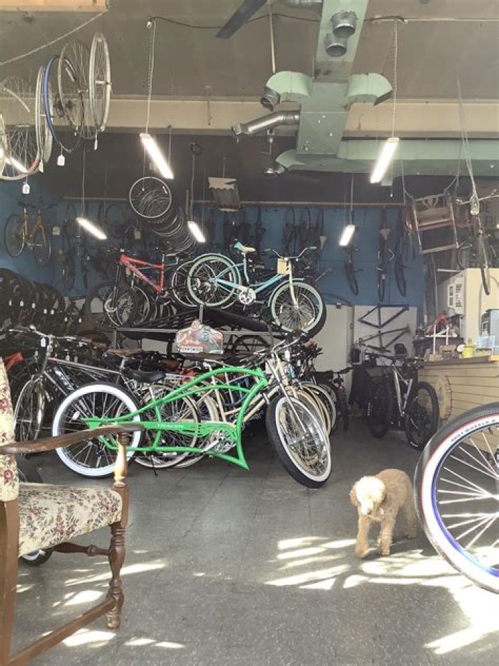 Discoveries And Insights In The Cycle Logic Bike Shop Lawsuit